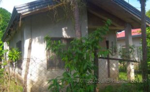 £©¯µ»ÁÇÍÓÙßåëñ