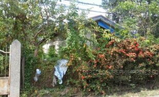 0 b b8 05002d04e03a86804e01040c30258   0239250f21a24b71fb26601e026741b82b291902a661c810b71d035051c834ea1c835a5