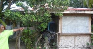 BFS Foreclosed House and Lot at ERLYNVILLE SUBD.
