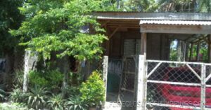 BFS Foreclosed House and Lot at NICEVILLE SUBD.