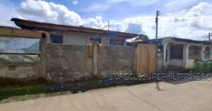 BFS Foreclosed House and Lot at VILLA ANGELA SUBD.
