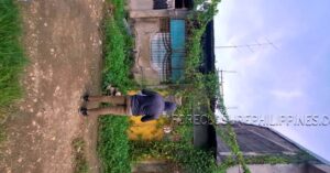 BFS Foreclosed House and Lot at ERLINDA VILLE SUBD.