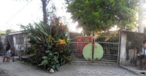 BFS Foreclosed House and Lot at EMENVIL GUERRA SUBD.