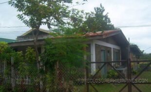 £©¯µ»ÁÇÍÓÙßåëñ