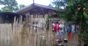 BFS Foreclosed House and Lot at CRYSTAL PLAINS SUBD.