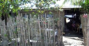 BFS Foreclosed House and Lot at VILLA CLEMENTA
