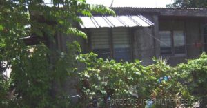 BFS Foreclosed House and Lot at NICEVILLE SUBD.