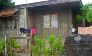 ¢¨®´ºÀÆÌÒØÞäêð