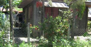 BFS Foreclosed House and Lot at NICEVILLE SUBD.