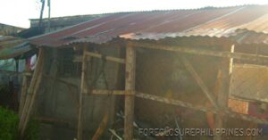 BFS Foreclosed House and Lot at NICEVILLE SUBD.