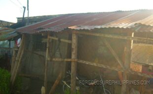 ¤ª°¶¼ÂÈÎÔÚàæìò