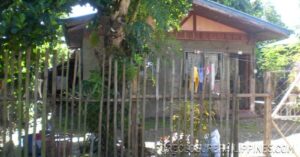 BFS Foreclosed House and Lot at CRYSTAL PLAINS SUBD.