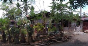 BFS Foreclosed House and Lot at STANFILCO SUBD.