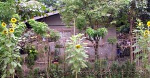 BFS Foreclosed House and Lot at STANFILCO SUBD.