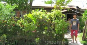 BFS Foreclosed House and Lot at VILLA CLEMENTA