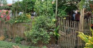 BFS Foreclosed House and Lot at VILLA CLEMENTA