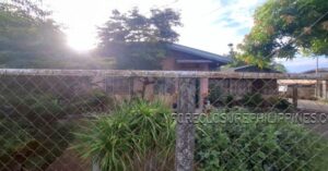 BFS Foreclosed House and Lot at ALICIA MIDTOWN SUBD.
