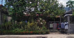 BFS Foreclosed House and Lot at VILLA CLEMENTA