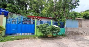 BFS Foreclosed House and Lot at YOUNGSVILLE SUBD.