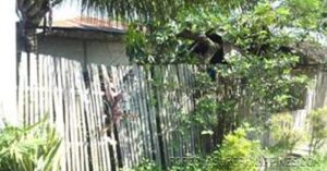 BFS Foreclosed House and Lot at EMENVIL GUERRA SUBD.
