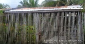 BFS Foreclosed House and Lot at VILLA CLEMENTA