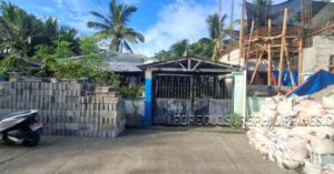 BFS Foreclosed House and Lot at ALICIA MIDTOWN SUBD.