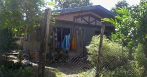 BFS Foreclosed House and Lot at CRYSTAL PLAINS SUBD.