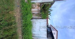 BFS Foreclosed House and Lot at ERLINDA VILLE SUBD.