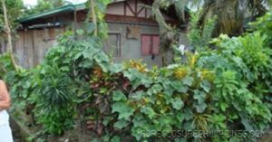 BFS Foreclosed House and Lot at CRYSTAL PLAINS SUBD.