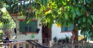 BFS Foreclosed House and Lot at CRYSTAL PLAINS SUBD.