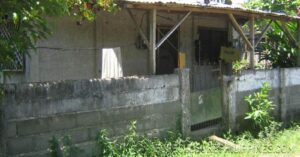BFS Foreclosed House and Lot at EMENVIL GUERRA SUBD.