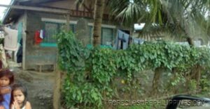 BFS Foreclosed House and Lot at CRYSTAL PLAINS SUBD. I