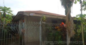 BFS Foreclosed House and Lot at ERLYNVILLE SUBD.