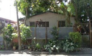 GEDSC DIGITAL CAMERA