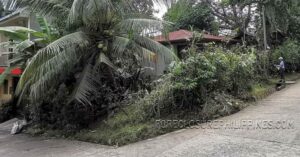 BFS Foreclosed House and Lot at VILLA FLORA EXECUTIVE HOMES SUBD.