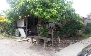 1 a c2 05002d0c2466c2981f21040c301c4382419e3df7178349f18a200b195133f1a01f8d1ab34eb1b636bd1ab35501ab3376