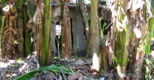 BFS Foreclosed House and Lot at YOUNGSVILLE SUBD.