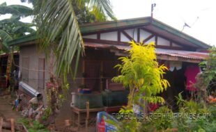 ¡§­³¹¿ÅËÑ×Ýãéï