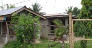 BFS Foreclosed House and Lot at VILLA CLEMENTA