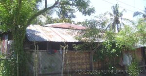 BFS Foreclosed House and Lot at TAGUM COUNTRY HOMES