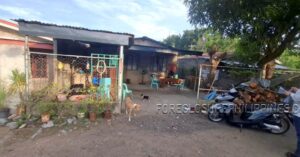 BFS Foreclosed House and Lot at ALICIA MIDTOWN SUBD.