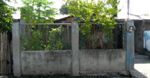BFS Foreclosed House and Lot at VILLA CLEMENTA
