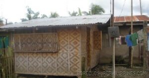 BFS Foreclosed House and Lot at VILLA CLEMENTA