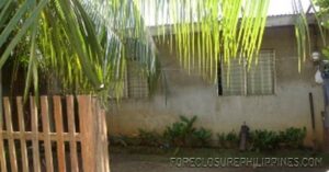 BFS Foreclosed House and Lot at VILLA CLEMENTA