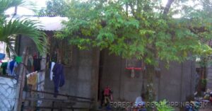 BFS Foreclosed House and Lot at NICEVILLE SUBD.