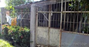 BFS Foreclosed House and Lot at NICEVILLE SUBD.
