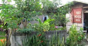 BFS Foreclosed House and Lot at VILLA CLEMENTA