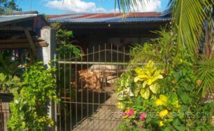  ¦¬²¸¾ÄÊÐÖÜâèî