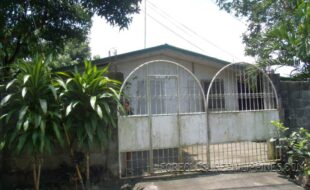 GEDSC DIGITAL CAMERA