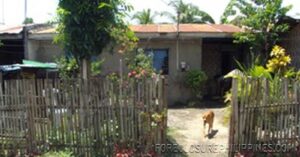 BFS Foreclosed House and Lot at VILLA CLEMENTA